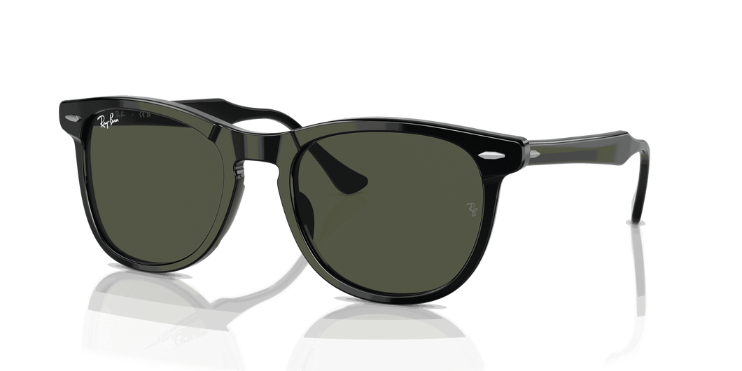 [Green Lenses, Polished Black Frame]