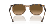 Brown Lenses, Polished Havana On Transparent Brown Frame