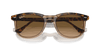 [Brown Lenses, Polished Havana On Transparent Brown Frame]