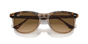 Brown Lenses, Polished Havana On Transparent Brown Frame