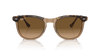 [Brown Lenses, Polished Havana On Transparent Brown Frame]