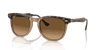 [Brown Lenses, Polished Havana On Transparent Brown Frame]