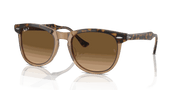 Brown Lenses, Polished Havana On Transparent Brown Frame