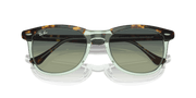 Green Lenses, Polished Havana On Transparent Green Frame