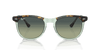 [Green Lenses, Polished Havana On Transparent Green Frame]