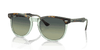 [Green Lenses, Polished Havana On Transparent Green Frame]