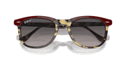 Grey Lenses, Polished Bordeaux On Yellow Havana Frame