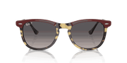 Grey Lenses, Polished Bordeaux On Yellow Havana Frame