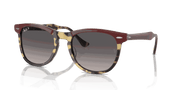 Grey Lenses, Polished Bordeaux On Yellow Havana Frame