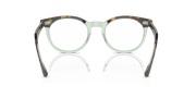 Clear Lenses, Polished Havana On Transparent Green Frame