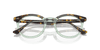 [Clear Lenses, Polished Havana On Transparent Green Frame]