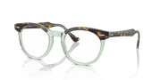 Clear Lenses, Polished Havana On Transparent Green Frame