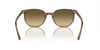 [Brown & Black Lenses, Polished Striped Brown & Green Frame]