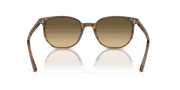 Brown & Black Lenses, Polished Striped Brown & Green Frame