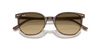 [Brown & Black Lenses, Polished Striped Brown & Green Frame]