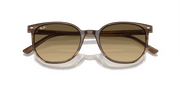 Brown & Black Lenses, Polished Striped Brown & Green Frame