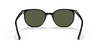 [Green Lenses, Polished Black Frame]