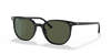 [Green Lenses, Polished Black Frame]