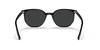 [Polar Black Lenses, Polished Black Frame]