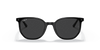 [Polar Black Lenses, Polished Black Frame]