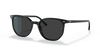 [Polar Black Lenses, Polished Black Frame]