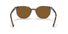 [B-15 Brown Lenses, Polished Havana Brown Grey Frame]