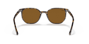 B-15 Brown Lenses, Polished Havana Brown Grey Frame