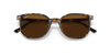 [B-15 Brown Lenses, Polished Havana Brown Grey Frame]