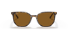 [B-15 Brown Lenses, Polished Havana Brown Grey Frame]