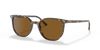 [B-15 Brown Lenses, Polished Havana Brown Grey Frame]