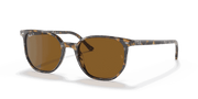 B-15 Brown Lenses, Polished Havana Brown Grey Frame