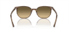 [Brown Black Lenses, Polished Striped Brown & Green Frame]