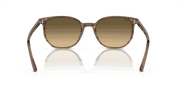 Brown Black Lenses, Polished Striped Brown & Green Frame