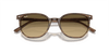 [Brown Black Lenses, Polished Striped Brown & Green Frame]