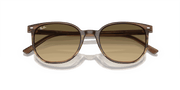 Brown Black Lenses, Polished Striped Brown & Green Frame