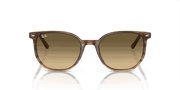 Brown Black Lenses, Polished Striped Brown & Green Frame