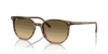 [Brown Black Lenses, Polished Striped Brown & Green Frame]