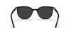 [Black Lenses, Polished Black Frame]