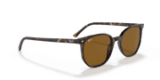 Brown Lenses, Polished Havana Frame