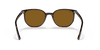 [Brown Lenses, Polished Havana Frame]