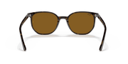 Brown Lenses, Polished Havana Frame