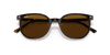 [Brown Lenses, Polished Havana Frame]