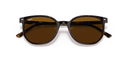 Brown Lenses, Polished Havana Frame