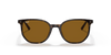 [Brown Lenses, Polished Havana Frame]