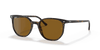 [Brown Lenses, Polished Havana Frame]