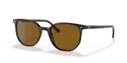 Brown Lenses, Polished Havana Frame