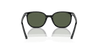 [Dark Green Lenses, Polished Black Frame]