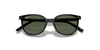 [Dark Green Lenses, Polished Black Frame]