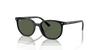 [Dark Green Lenses, Polished Black Frame]