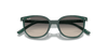 [Grey Lenses, Polished Opal Green Frame]